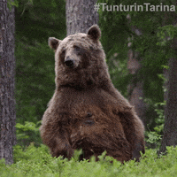 Lappi Elain GIF by Nordisk Film Finland