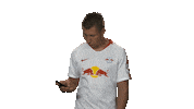 rb leipzig Sticker by Bundesliga