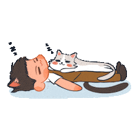 yellowhite0v0 cat sleep kitten apo Sticker