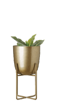 Bloempot Whkmpsown Sticker by Wehkamp