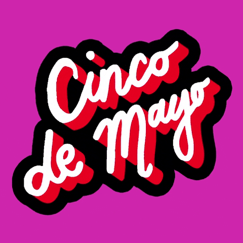 Cinco De Mayo GIF by megan lockhart