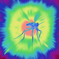 Loco Die GIF by J. Lupo Arms