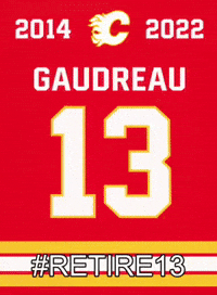 Calgary Flames Usa GIF