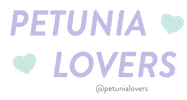Corona Petunia Sticker by Petunialovers