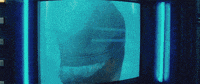 GIF by joerocco