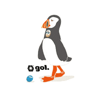 Football Soccer Sticker by gol.japan