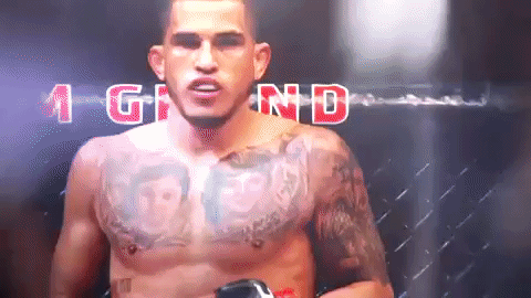 ufc 206 GIF