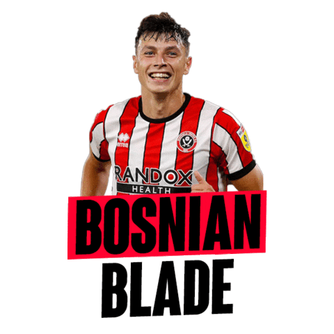 Ahmedhodzic Sticker by Reprezentacija Ba