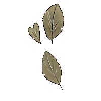 Plants Garden Sticker