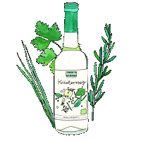Bio Dressing Sticker by Byodo Naturkost
