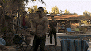 Animal Kingdom Tnt GIF