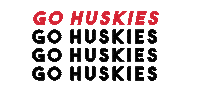 nuexperience Sticker by Northeastern University