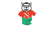 Nuexperience Sticker by Northeastern University