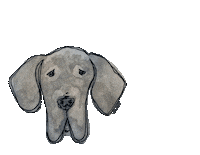 Great Dane Dog Sticker by By Sauts // Alex Sautter (formerly Pretty Whiskey)