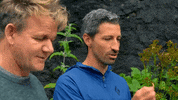 ew eating GIF by Gordon Ramsay