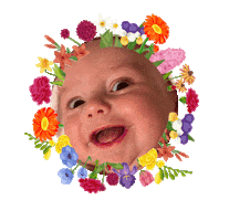 Zeke Sticker by People Via Plants