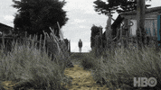 Jude Law GIF by HBO