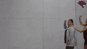 Dance GIF by CUCougars