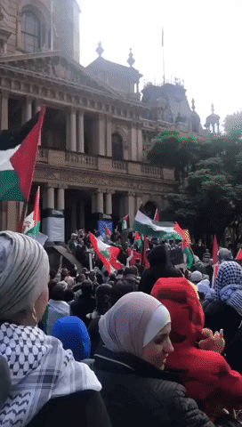 Protesters Wave Flags and Chant During Pro-Palestine Rally in Sydney