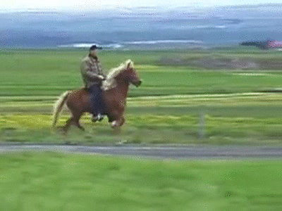 iceland GIF