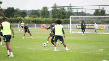 world cup selecao masculina GIF by Confederação Brasileira de Futebol
