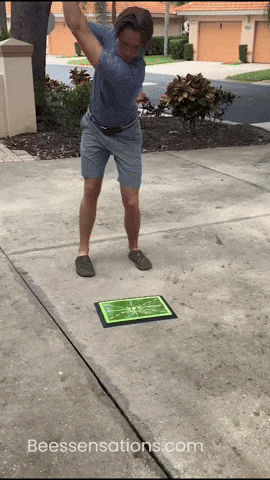 BeesSensations giphyupload GIF