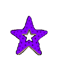 Star Purplestar Sticker by APM Monaco