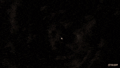 full moon illustration GIF by Animation Domination High-Def