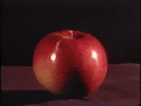 Hungry Round GIF by Archives of Ontario | Archives publiques de l'Ontario
