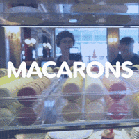 GIF by VakantieVeilingen