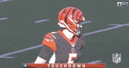 Regular Season Football GIF by NFL