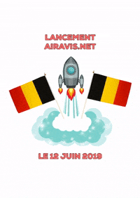 airAvis bruxelles Brussel mons bruges GIF