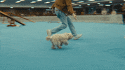 Sex Ed Dog GIF by NETFLIX