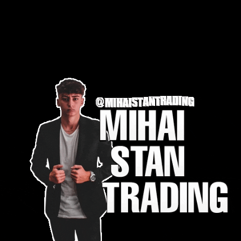 SkyTradingAcademy stan trading mihai mihaistantrading GIF