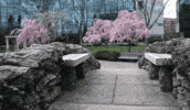 Salusuniversity GIF by Drexel University, Elkins Park Campus