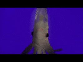isabella rossellini GIF by SundanceTV