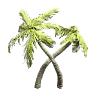 visitnoosa yoga fishing hiking koala Sticker