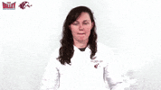 Southern Illinois Mvc GIF by Missouri Valley Conference