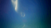 hip hop swag GIF