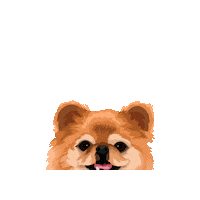 Minipp Sticker by Pickle's Pawtraits