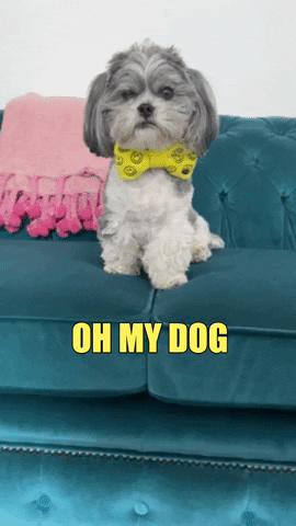 TheDDCo giphygifmaker GIF