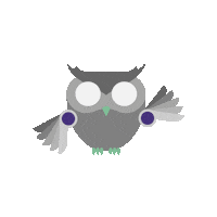 LISAInsurtech lisa insurance elisa insurtech Sticker