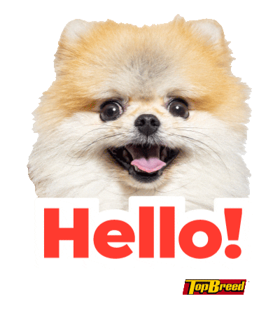 UniversalRobinaCorporation doggo pupper dogmom dog dad Sticker