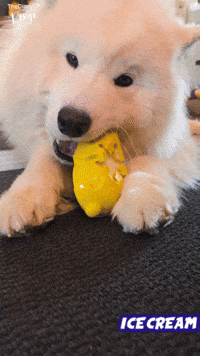 Ice Enjoy GIF