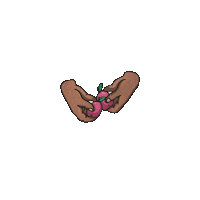 Cancerawareness Plums Sticker by rctcharity