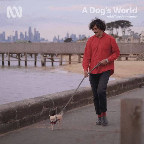Happy Tony Armstrong GIF by ABC TV + IVIEW