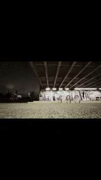 Martial Arts Success GIF by Casol