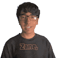 Zane Zain Sticker