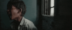 GIF by LION 