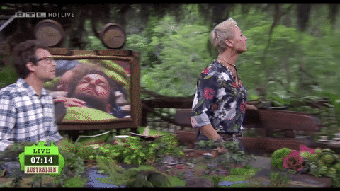 ibes GIF